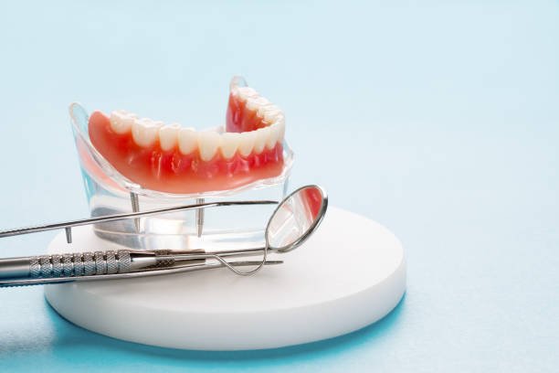 Professional  Holistic Dental Services in Terryville, CT